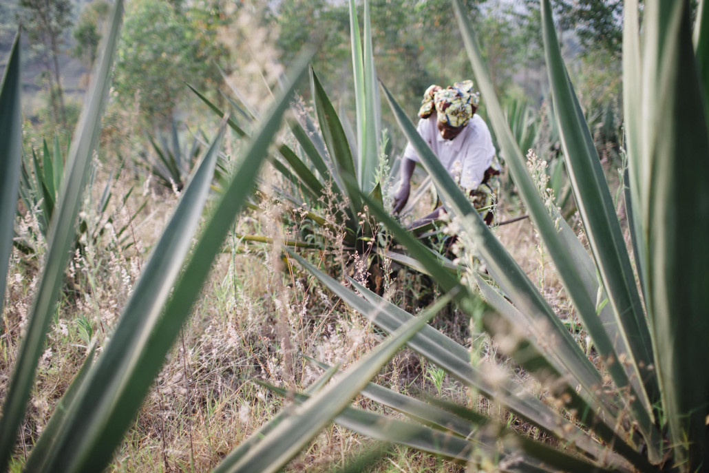 Basket weaving process